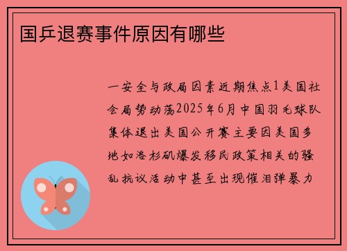 国乒退赛事件原因有哪些